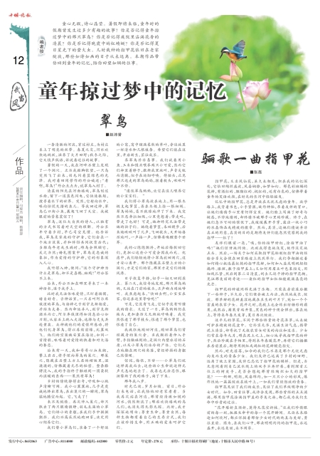 A12版导读