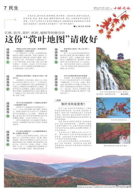 A07版导读