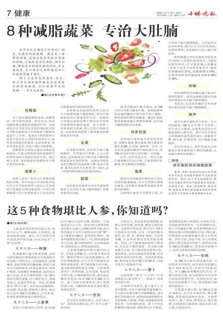 A07版导读