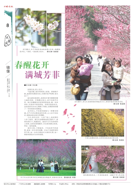 A08版导读