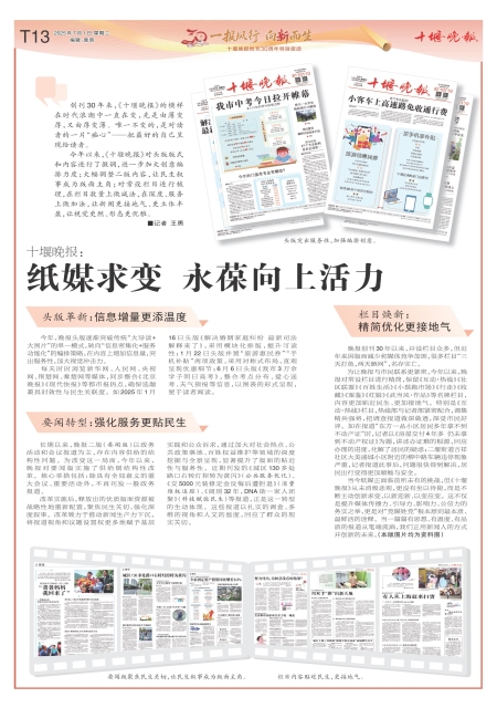 T13版导读