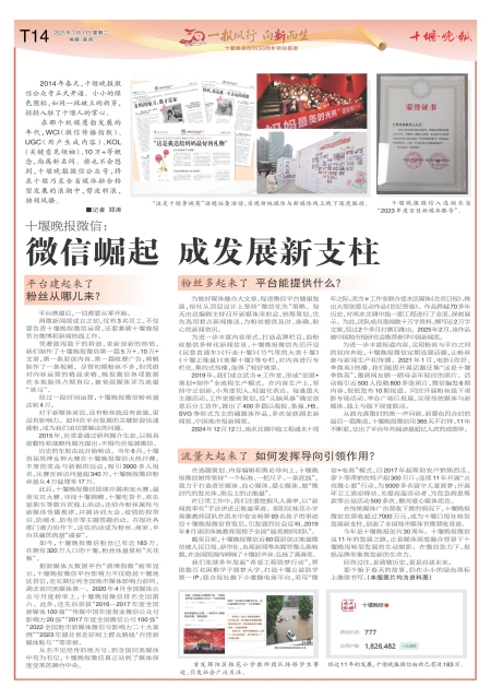 T14版导读