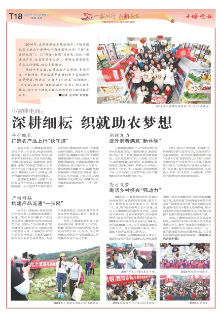 T18版导读