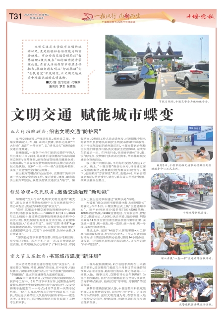 T31版导读