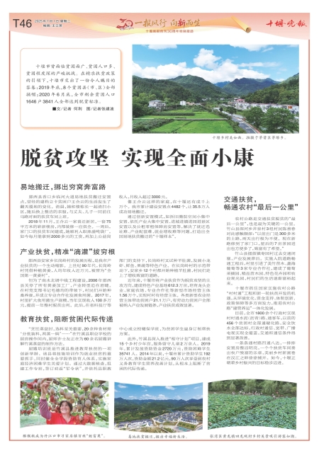 T46版导读