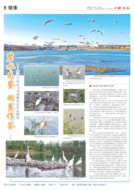 A08版导读