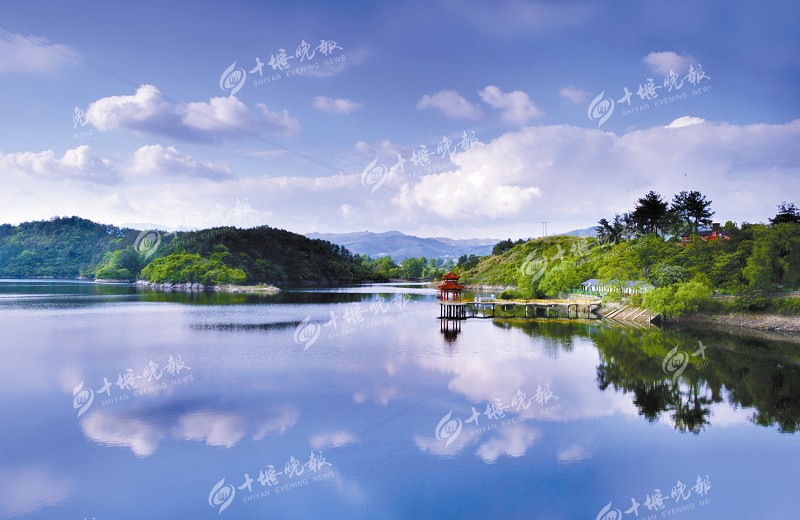 竹溪龙湖湿地公园.任永泽/摄环境好不好,候鸟全知晓!