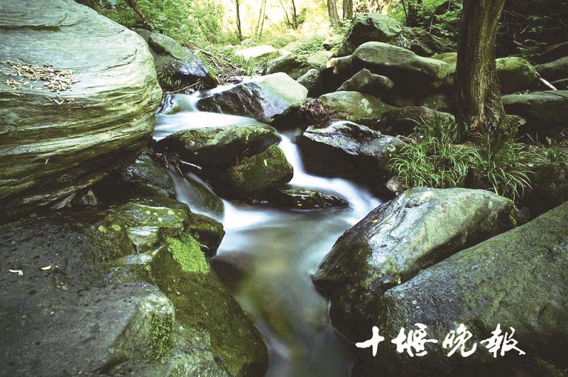 百龙潭溪水清澈. 郧水遥/摄