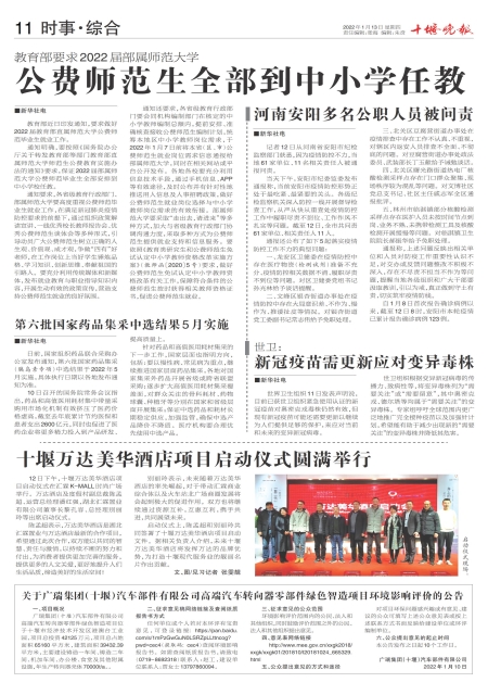 A11版导读