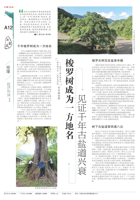 A12版导读