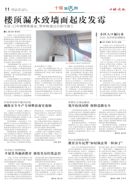 A11版导读