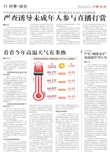 A11版导读
