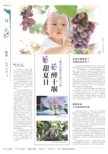 A12版导读