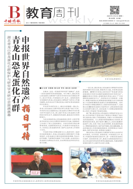 B01版导读