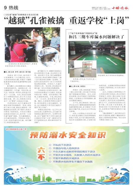 A09版导读