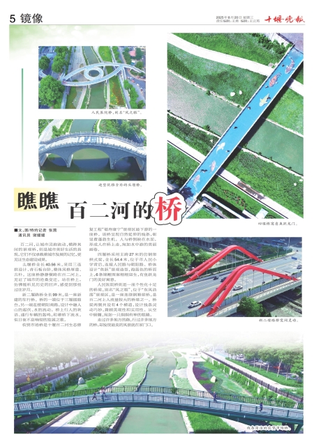 A05版导读
