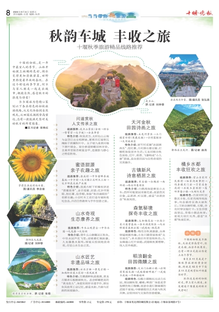 A08版导读