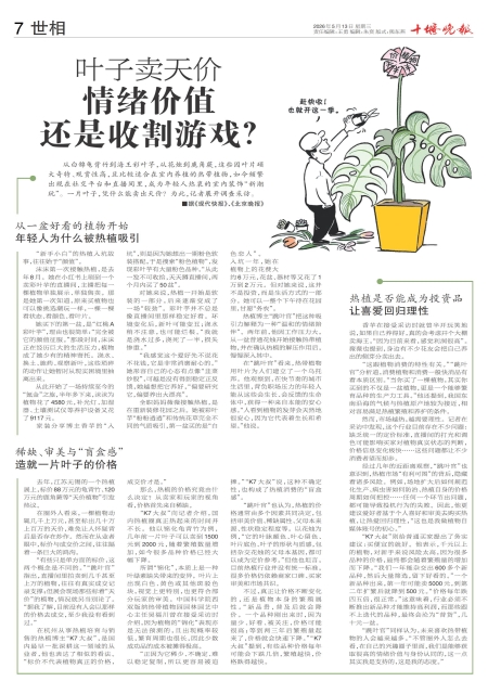 A07版导读