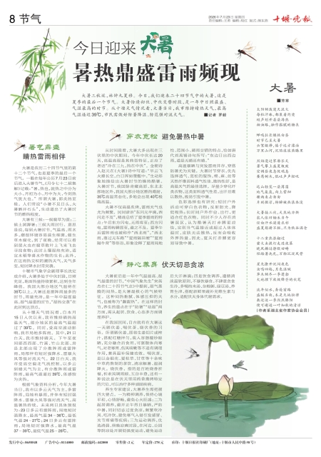 A08版导读