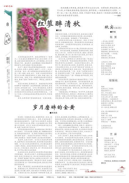 A08版导读